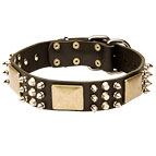 Dog Leather Collar with Old Brass Plates, Nickel Spikes and Pyramids 40% DISCOUNT
