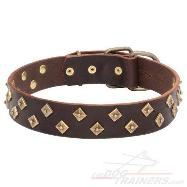 Brown leather collar with pyramids for your dog