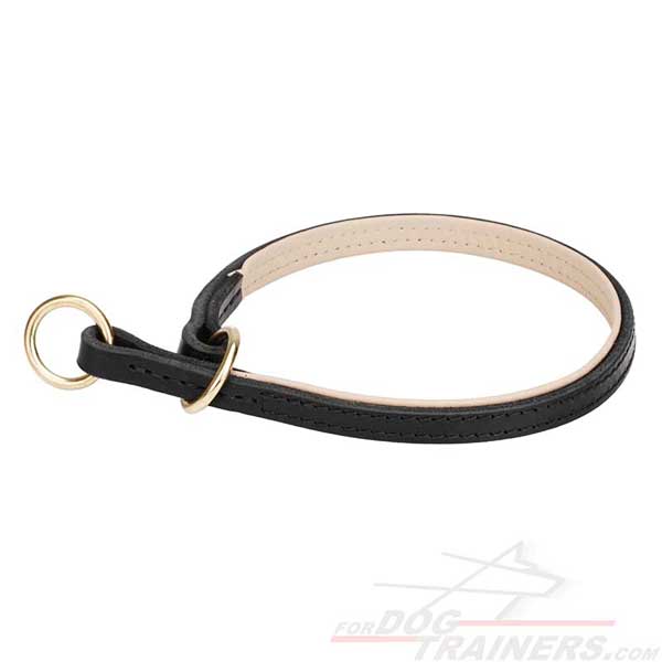 Leather Choke Collar for training