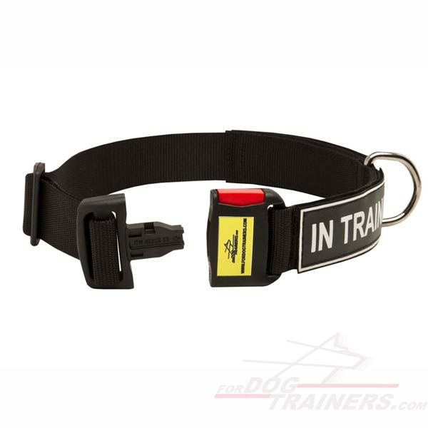 Nylon Dog Collar with patches
