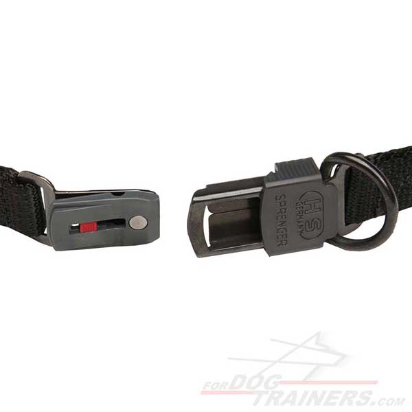 Behaviour control pinch dog collar