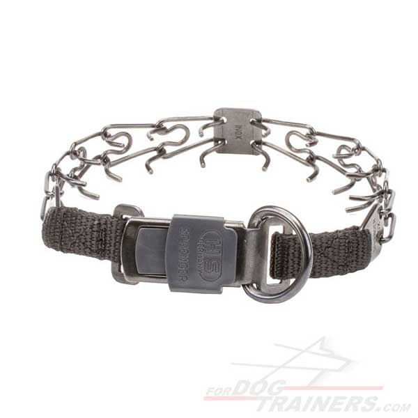 Dog pinch collar with D-ring for attaching a leash