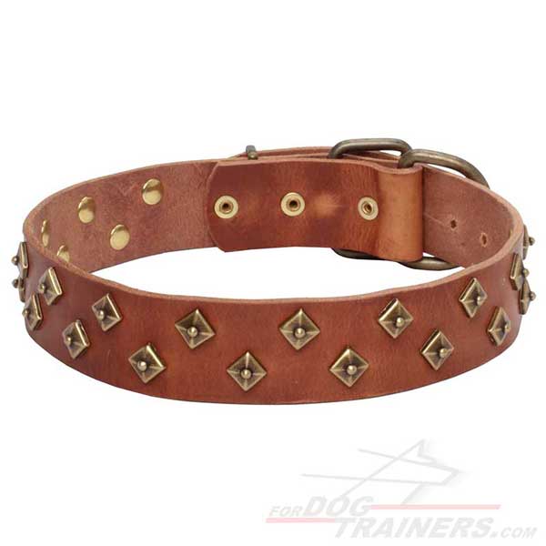 Rust-resistant hardware for tan leather dog collar