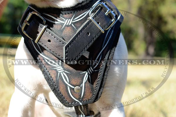 Durable Painted Leather Chest Plate of Dog Harness
