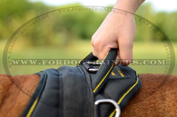 Durable Handle of Nylon English Bulldog Harness