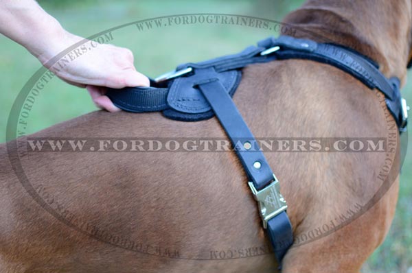 Leather Padded Handle on Agitation Harness