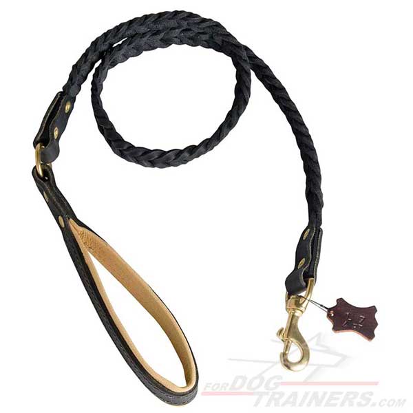 walking leather dog leash