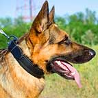German Shepherd Leather Agitation Dog Collar for Comfortable Training