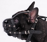 Everyday Light Weight Super Ventilation French Bulldog muzzle - product code M41