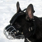 French Bulldog Basket Wire Dog Muzzles - M4