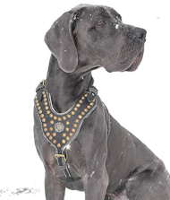 Royal Dog Harness - Exclusive Design Studded Leather Harness