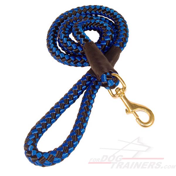 Practical dog lead