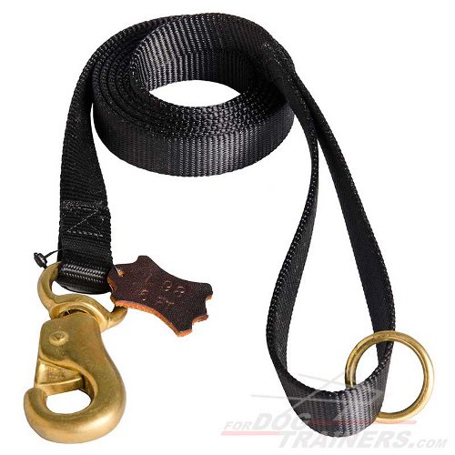 Extreme Walking Nylon Dog Leash with Extra Strong Brass Snap Hook