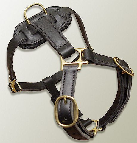 Akita inu dog harness