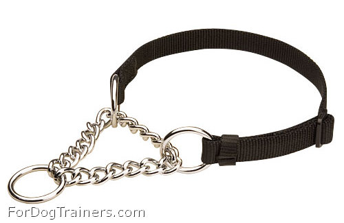 Nylon Dog Collar for All Weather Use