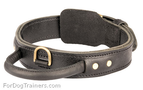 Heavy Duty Best Dog Collar for Training with Handle