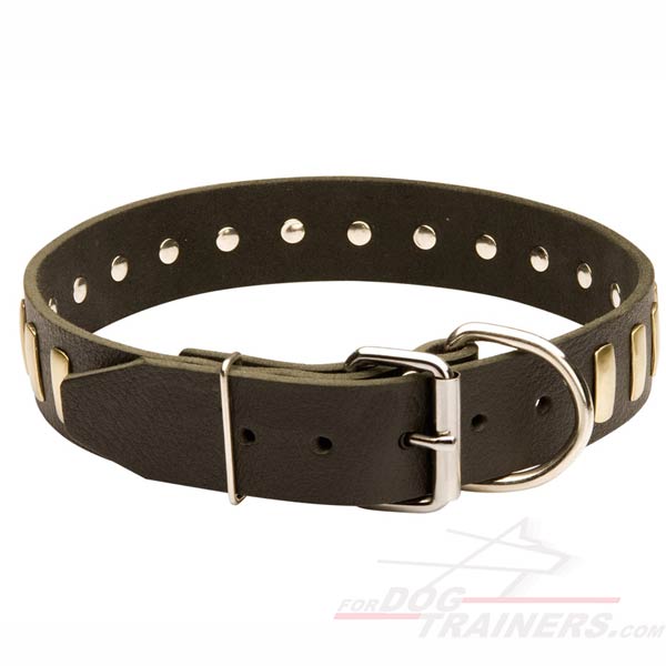 New Design Leather Collar