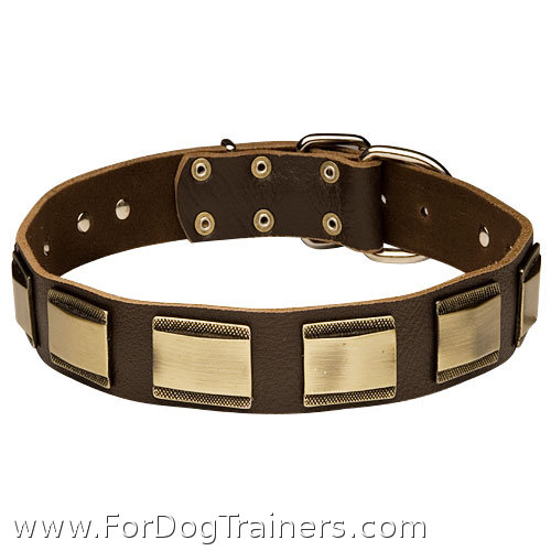 New design leather  dog collar