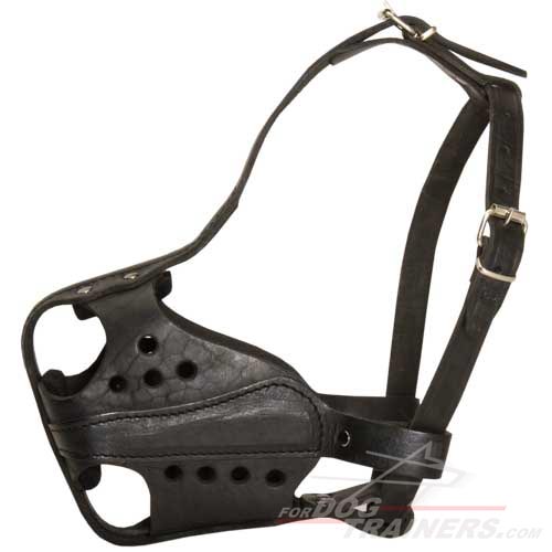 New Design Hard Leather Dog Muzzle for Service Dogs