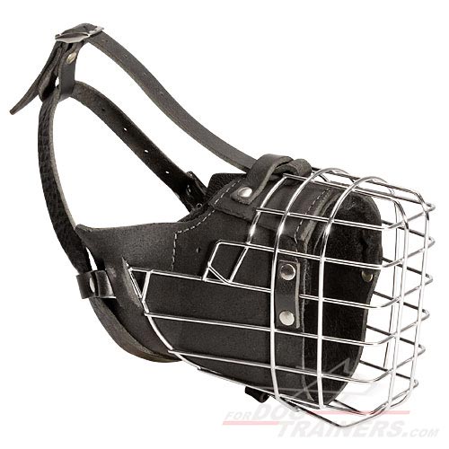 Fully Padded Metal Basket Muzzle for Comfortable Dog Training