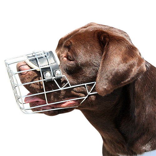 New High quality Wire Dog MUZZLE for Labrador