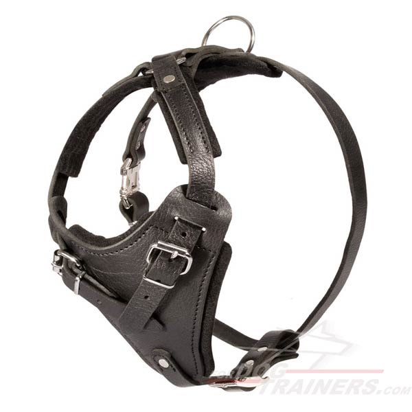 Canine Harness for Agitation / Attack Work