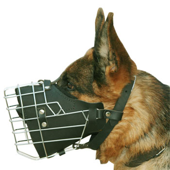 working dog accessories