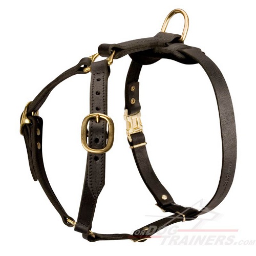 Siberian Husky Luxury handcrafted dog harness- husky harness