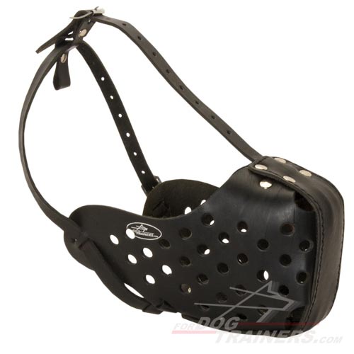 Agitation Training Dog Basket Muzzle for Medium and Large Breed Dogs