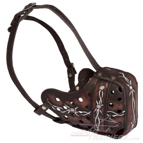 Handmade Leather Dog Muzzle with Barbed Wire Painting