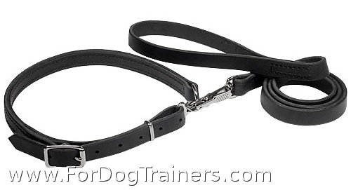 Police and Hunting Dog Leash and Collar Combo