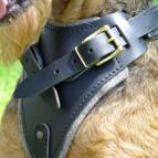 Agitation Leather Dog Harness Padded_23