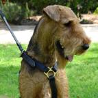 Luxury handcrafted leather dog harness made To Fit Airedale Terrier H7