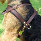 Tracking/Pulling/Walking Leather Dog Harness