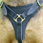 Tracking / Walking dog harness made of leather - H3_1