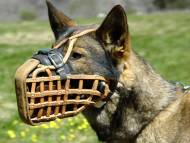 German Shepherd Leather Basket Muzzle Well-Ventilated for Training