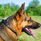 Marvellous Braided Leather German Shepherd Collar