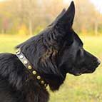 German Shepherd Studded Leather Dog Collar
