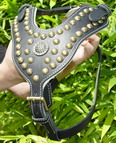 Royal Studded Leather Dog Harness with Exclusive Design