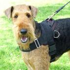 All Weather dog harness for tracking / pulling Designed to fit Airedale Terrier - H6