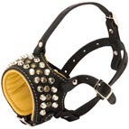 Royal Design Padded Leather Dog Muzzle with Handset Studs