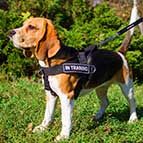 Nylon Beagle Harness for Pulling, Tracking, Training and SAR