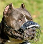 NEW Revolution Design Pitbull Wire Dog Muzzle