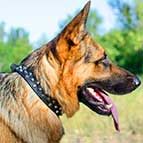 German Shepherd Leather Dog Collar with Cones