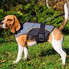 Adjustable Nylon Beagle Harness for Rehabilitation and Winter Warming