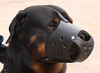 Everyday Rottweiler Leather dog muzzle - product code M51