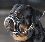 Royal Nappa Leather Dog Muzzle - product code M88_1
