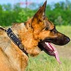 German Shepherd Braided Nappa Padded Leather Dog Collar