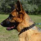 Classic Design German Shepherd Walking Leather Dog Collar