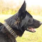 German Shepherd Decorated Leather Dog Collar